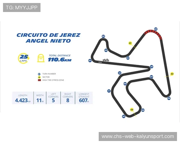 MotoGP车手赛季表现统计与分析（462 ）